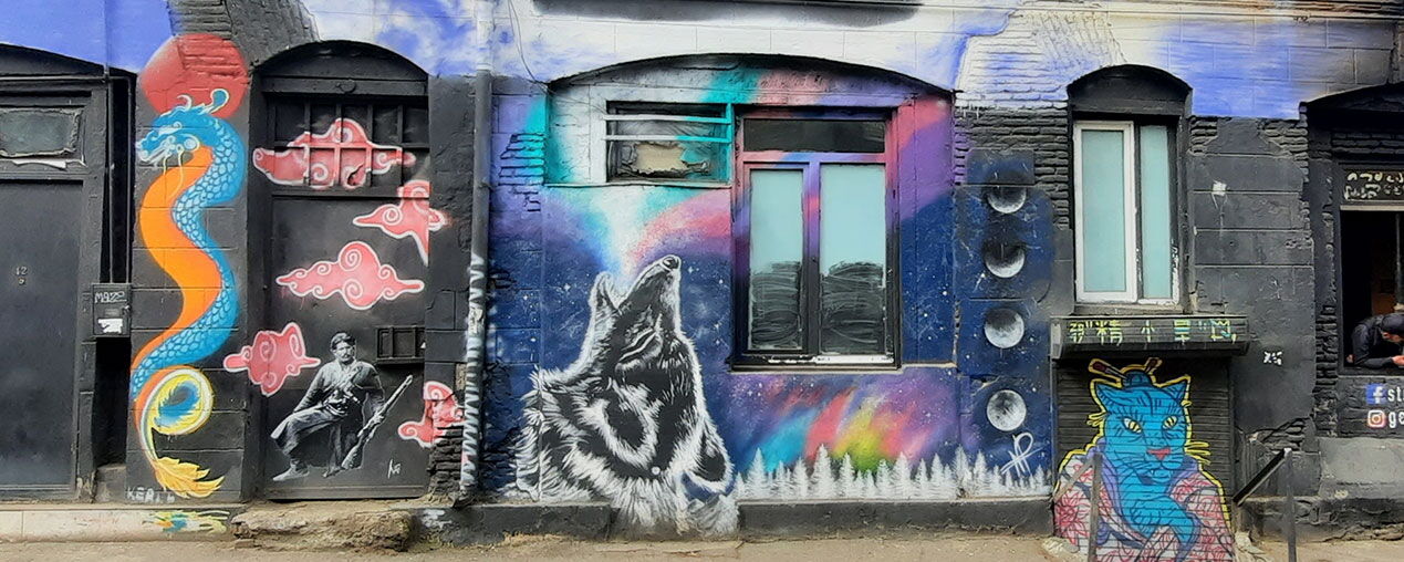 Wolf - Nona Paksashvili