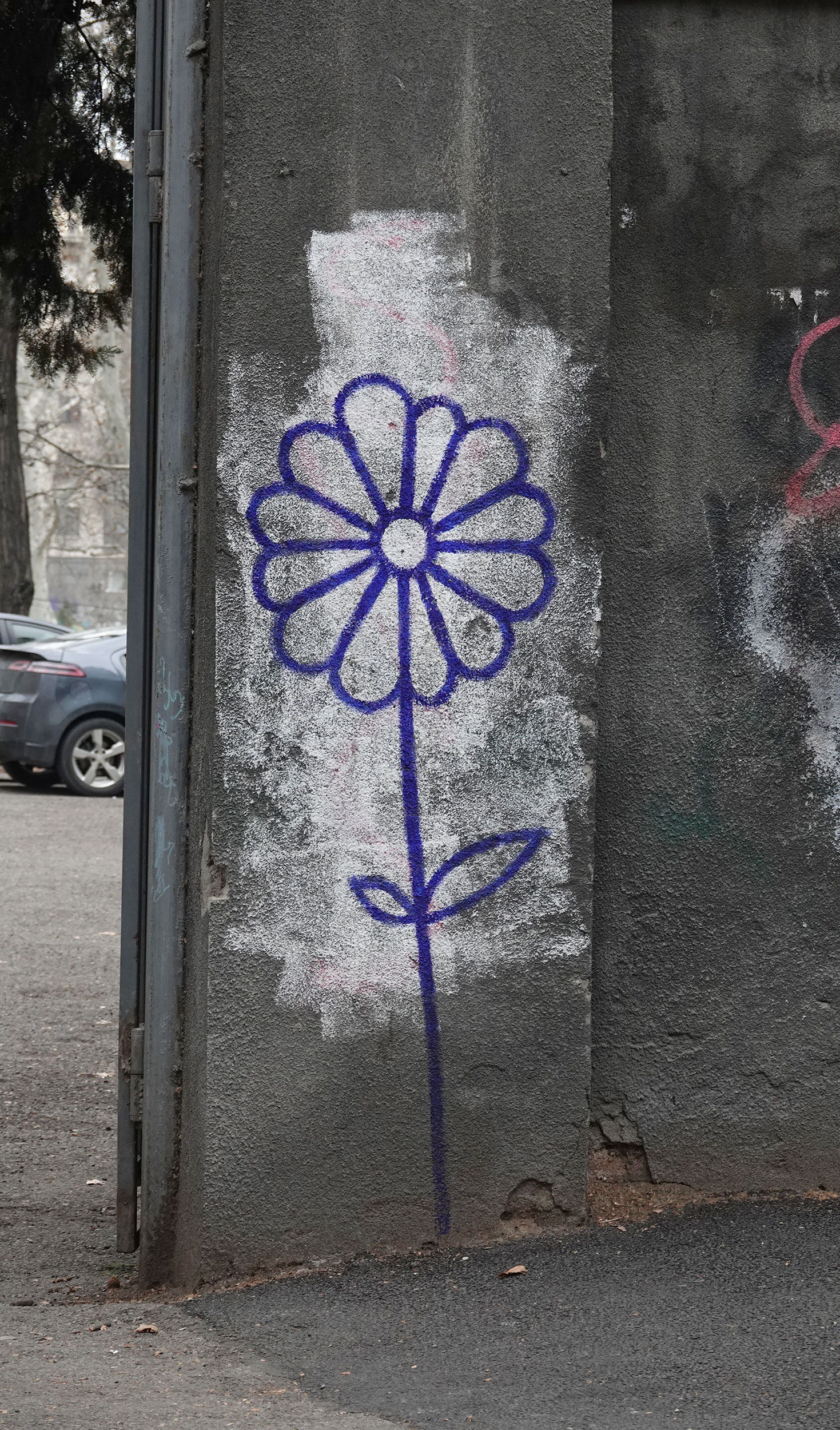 Flower - Blue Pencil