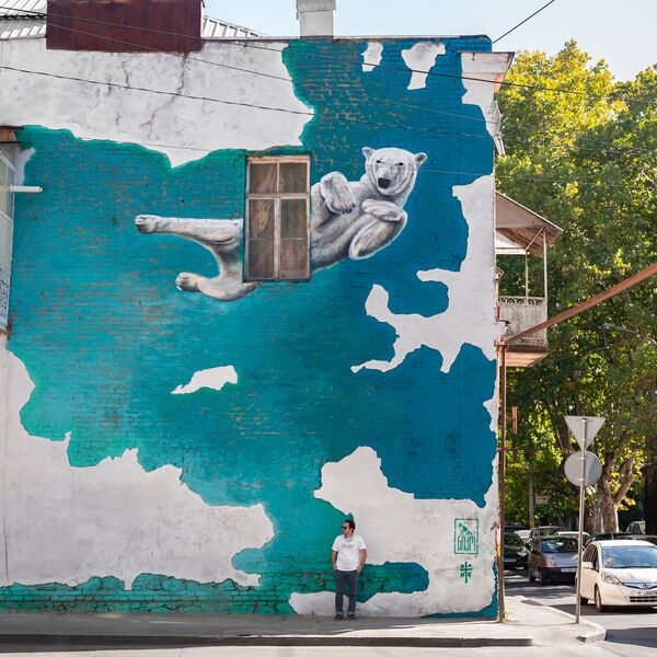 Polar Bear - Dante © Niko Movement