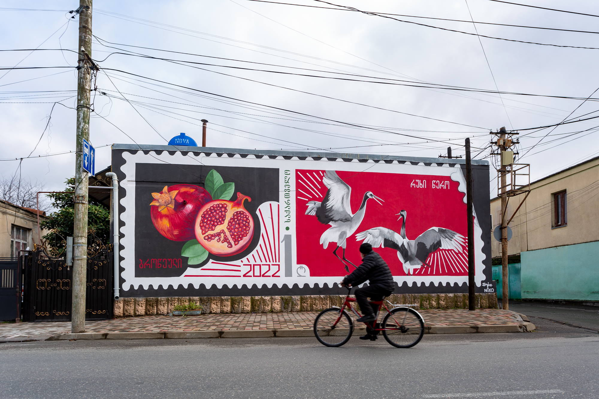 Crane & Pomegranate - Ksyu Brice