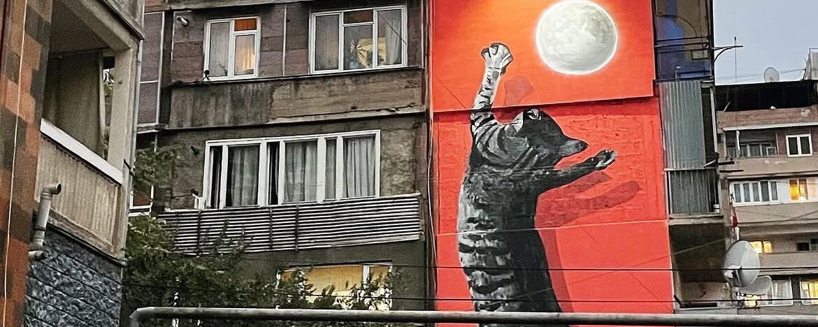 Jumping Cat
