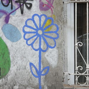 Flower - Blue Pencil