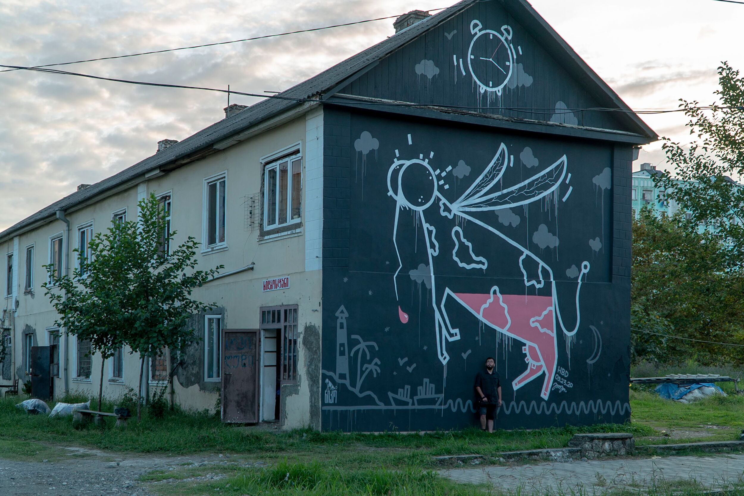 Mosquito Cow - Goga Katsarava