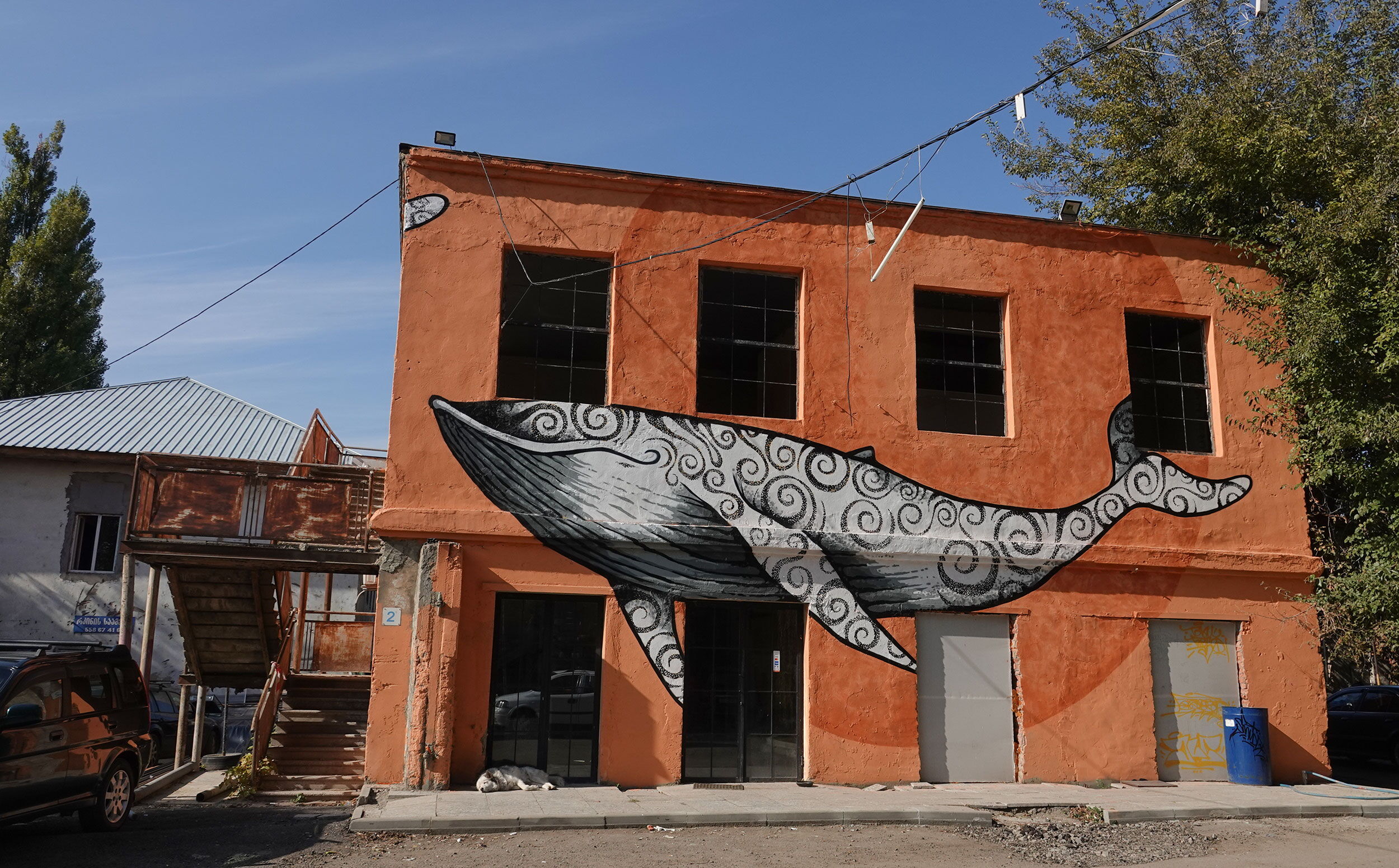 Whale - Blacktattoo