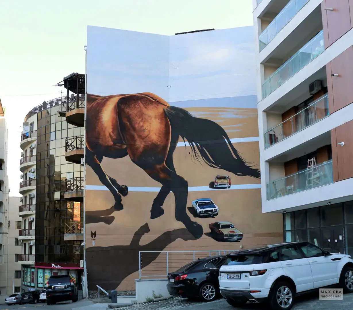 Horse - Dante