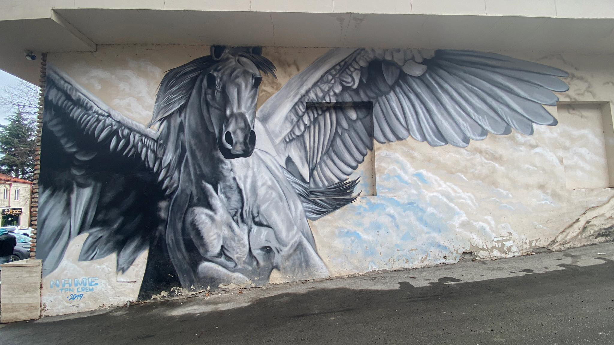 Pegasus - Name One / TPN Crew