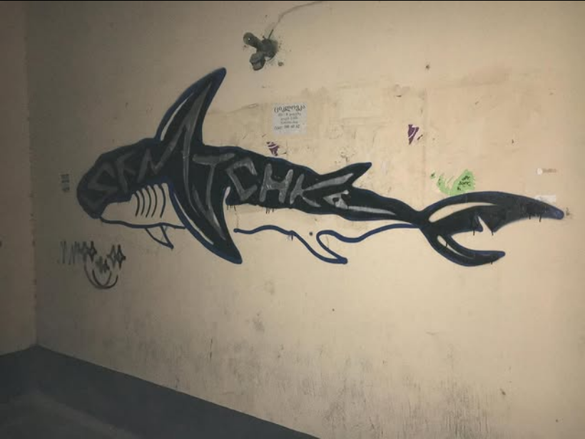 Shark