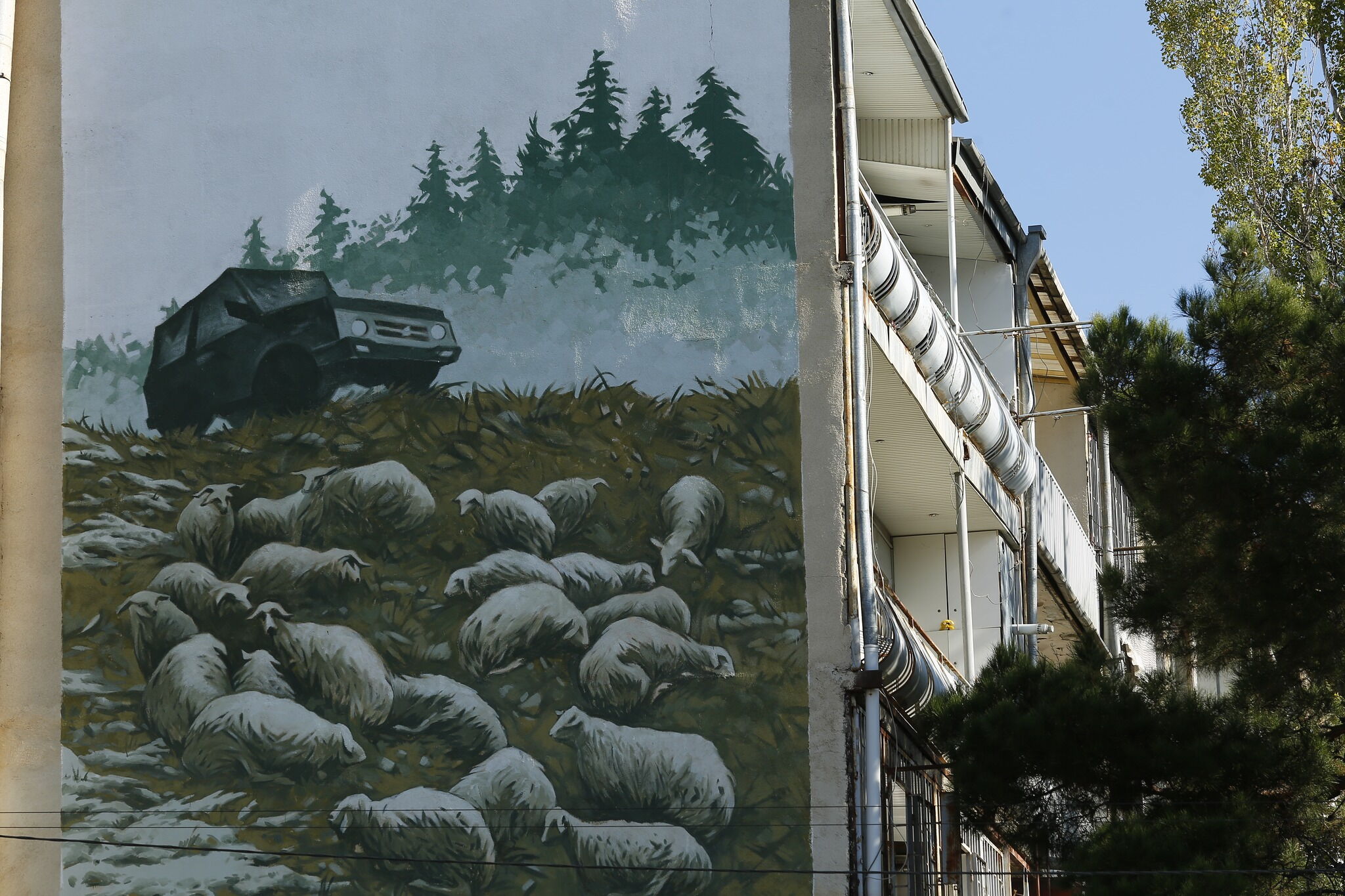 Sheeps at my house - Irakli Toklikishvili