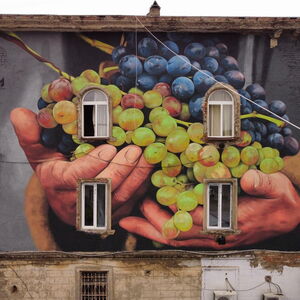 Grapes - TMF Studio