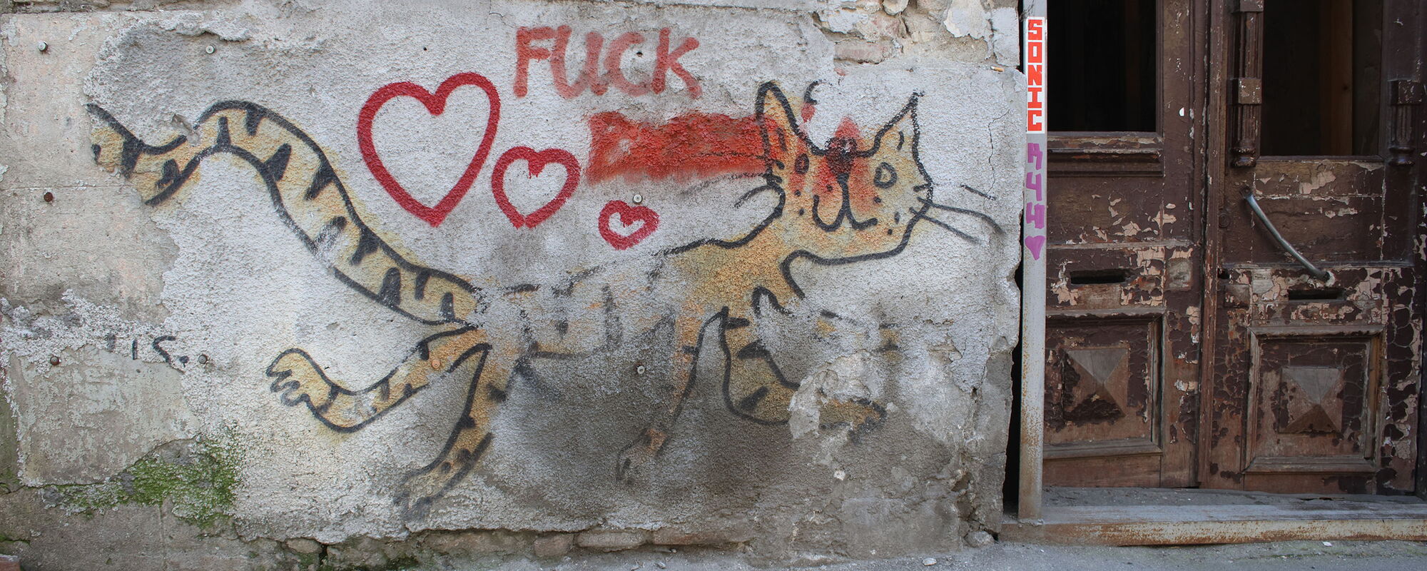 Cat - 665