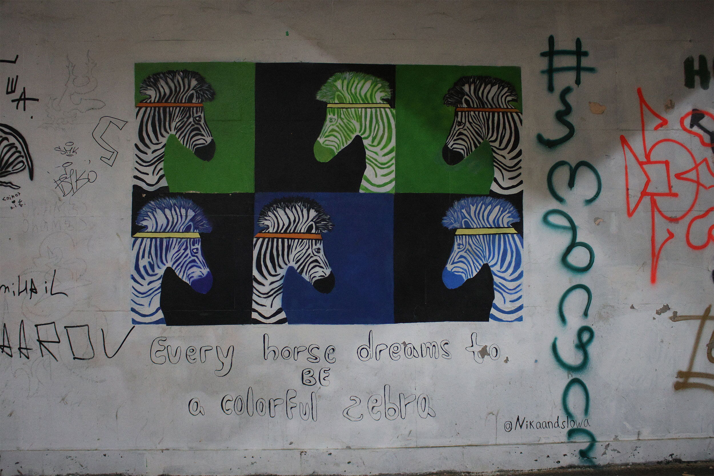 Colourful Zebra - Nika Danelia