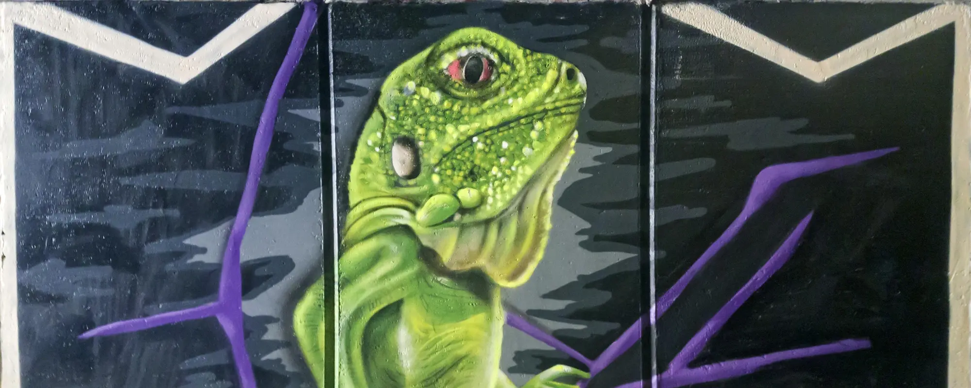 Green Lizzard - Observ