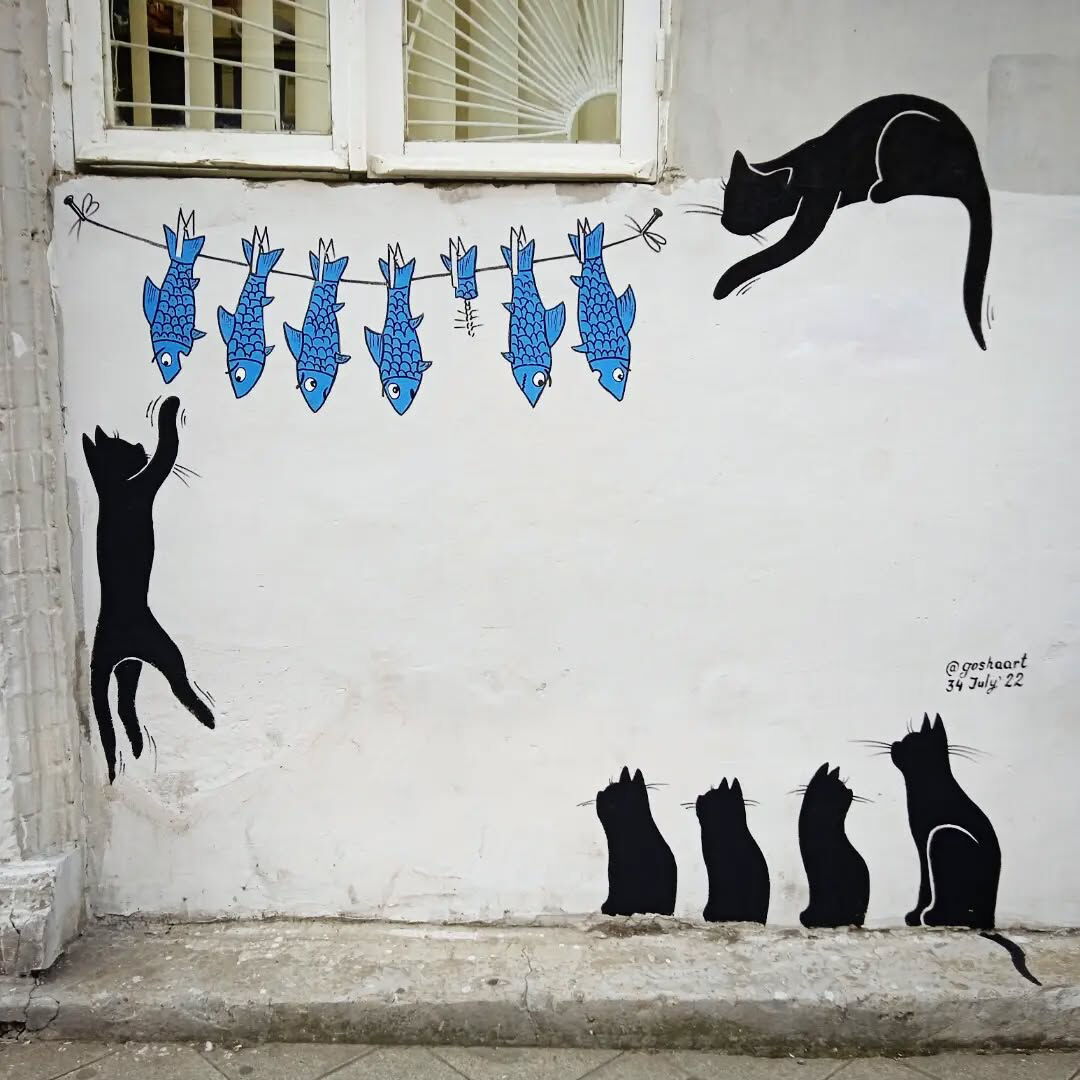 Black Cat teaching how to steal a Fish
