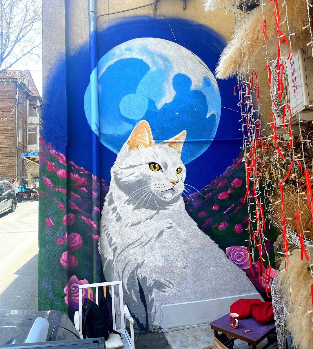 White Cat