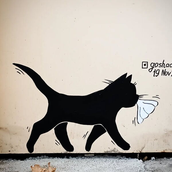© Goshaart