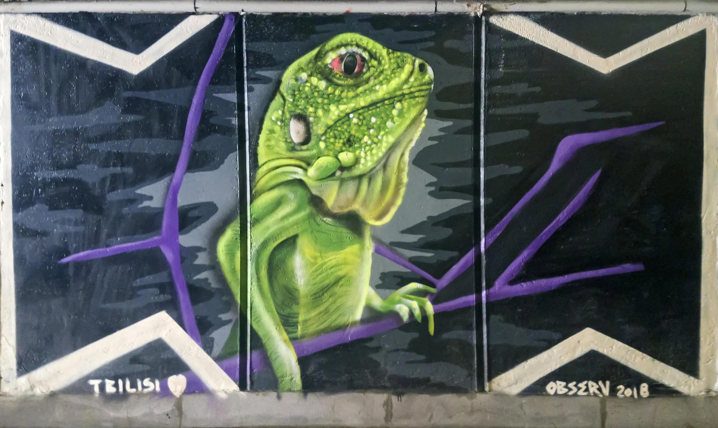 Green Lizzard - Observ