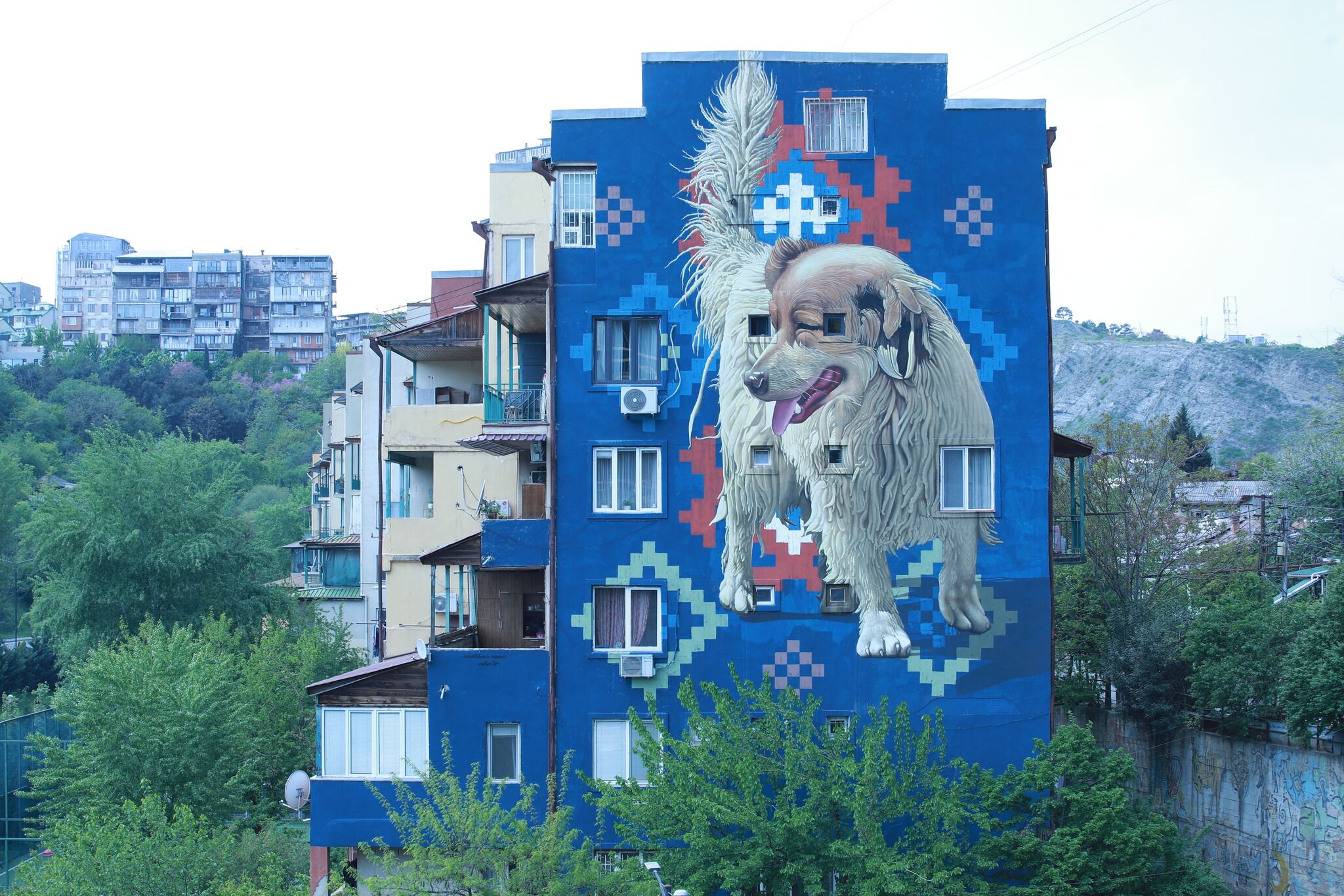 Stray Dog - Matthias Mross