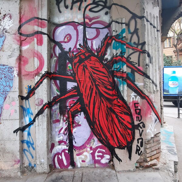 Cockroach - Canavar