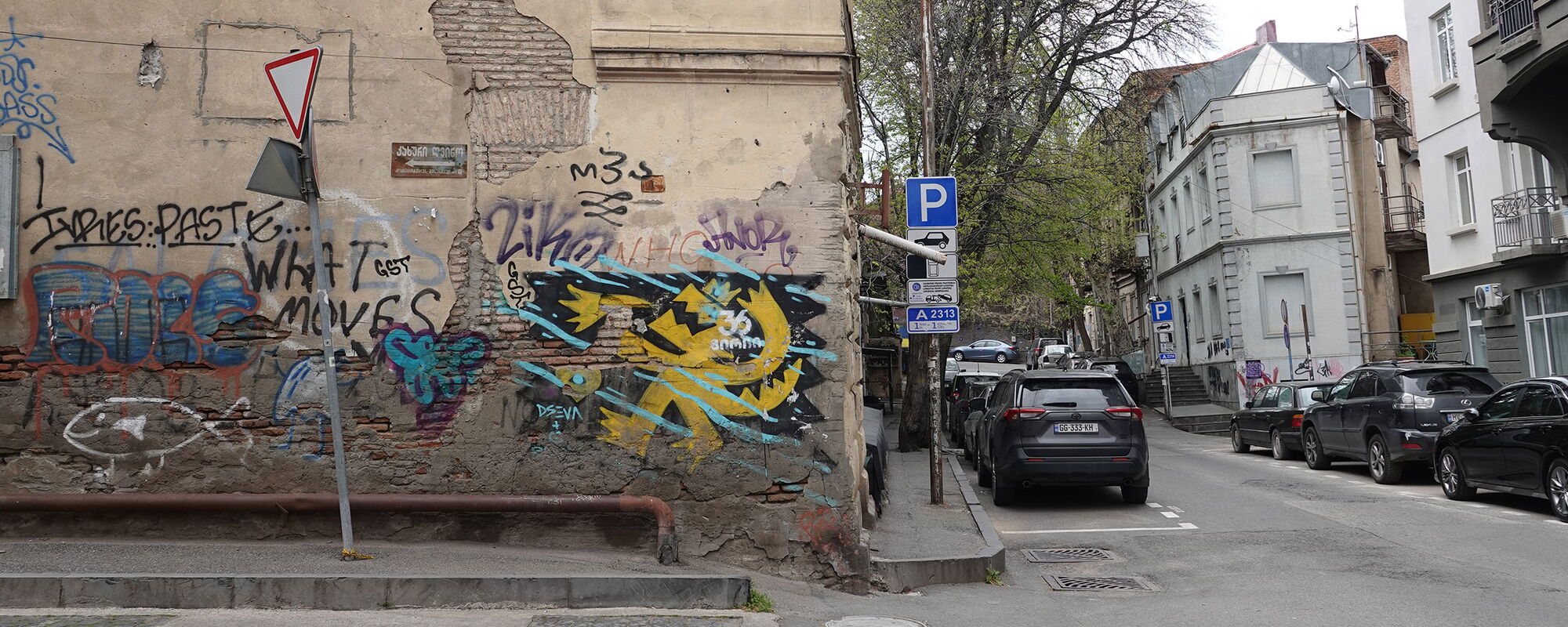 Yellow Lion - GST